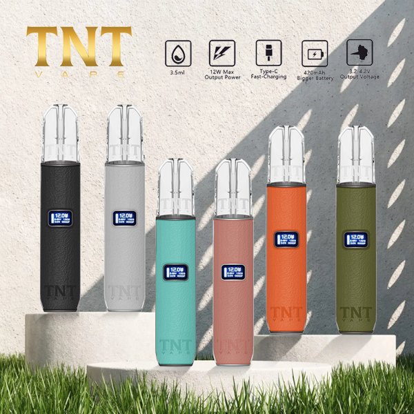 TNT 皮革主機