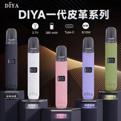 DIYA 皮革主機