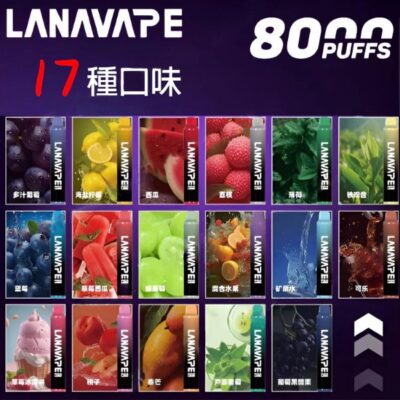 LANA 8000口