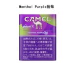 PLOOM 加熱不燃燒