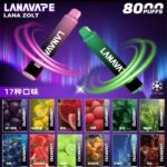 LANA 8000口