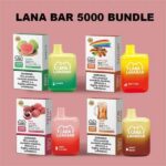 LANA 5000口