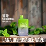 LANA 5000口