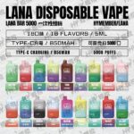 LANA 5000口