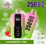 BANG 25000 PUFFS