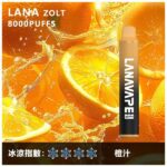 LANA 8000口